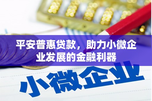 秦安平安普惠贷款，助力小微企业发展的金融利器
