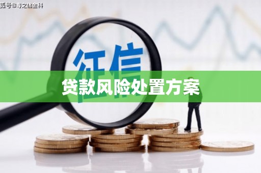 秦安贷款风险处置方案