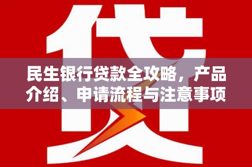 秦安民生银行贷款全攻略，产品介绍、申请流程与注意事项
